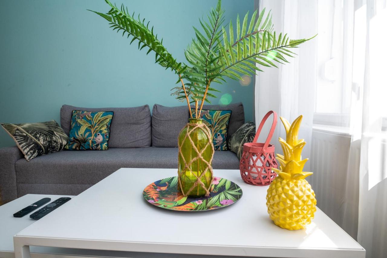 Palms * Budapešť